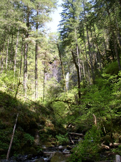 5.5.06 Eagle Creek 087 